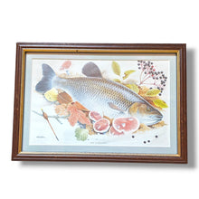 Vintage Set of Framed Freshwater Fish Prints